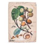 Marloth Collection - Tea Towel - plate 25