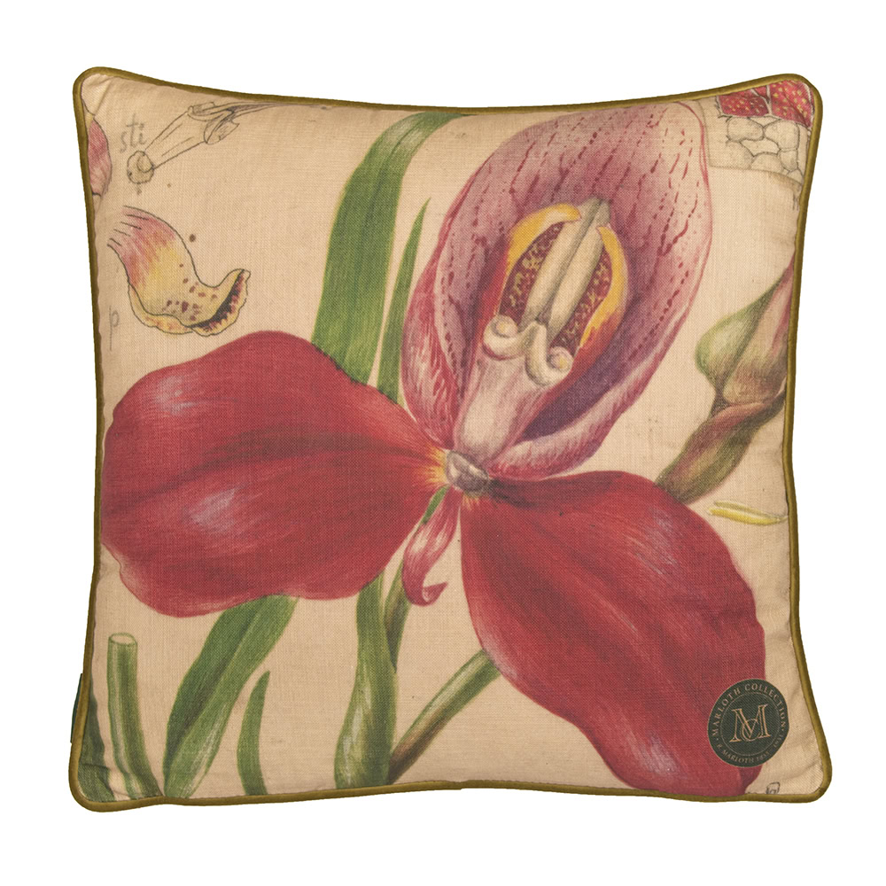 Marloth Plate 59 - Botanical Scatter Cushion Cover - Image 1