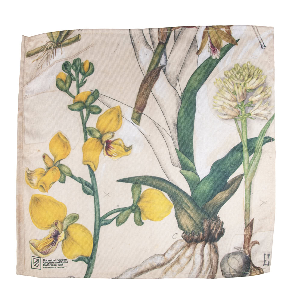 Marloth Collection - Napkin Set of 2 - plate 53 - Image 2