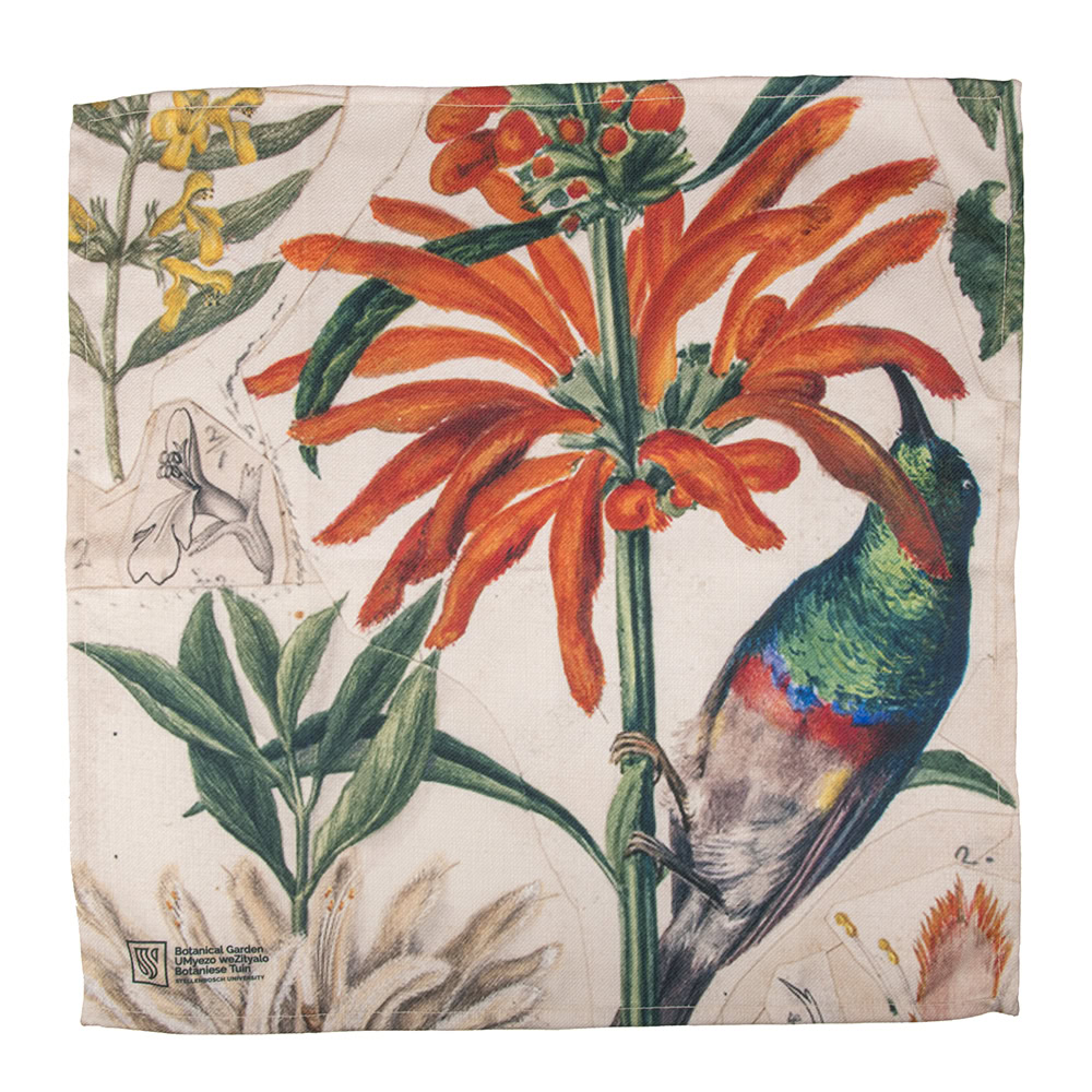 Marloth Collection - Napkin Set of 2 - plate 47 - Image 2