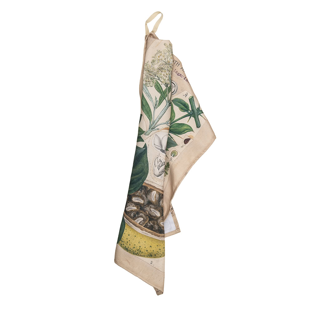 Marloth Collection - Tea Towel - plate 14 - Image 2