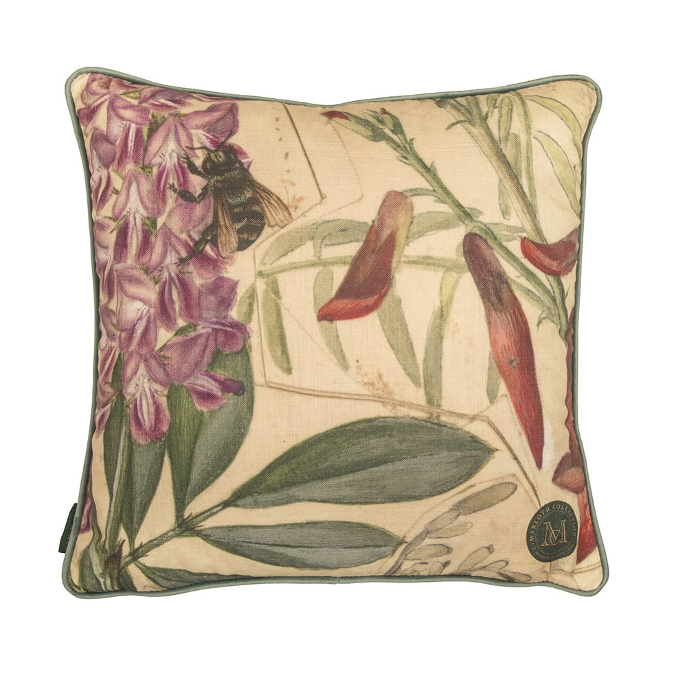 Marloth Plate 28 - Botanical Scatter Cushion Cover - Image 1