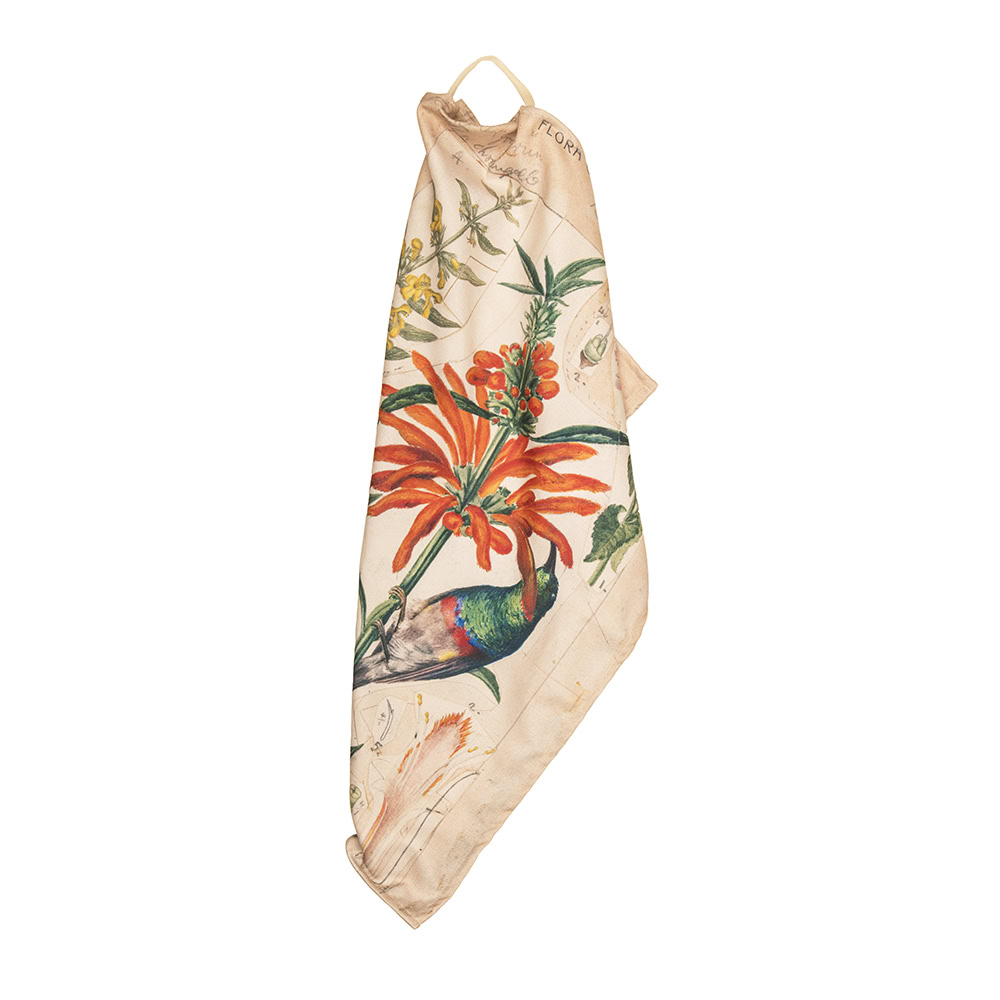 Marloth Collection - Tea Towel - plate 47 - Image 2