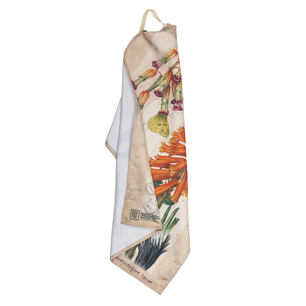 Marloth Collection - Tea Towel - plate 24 - Image 2