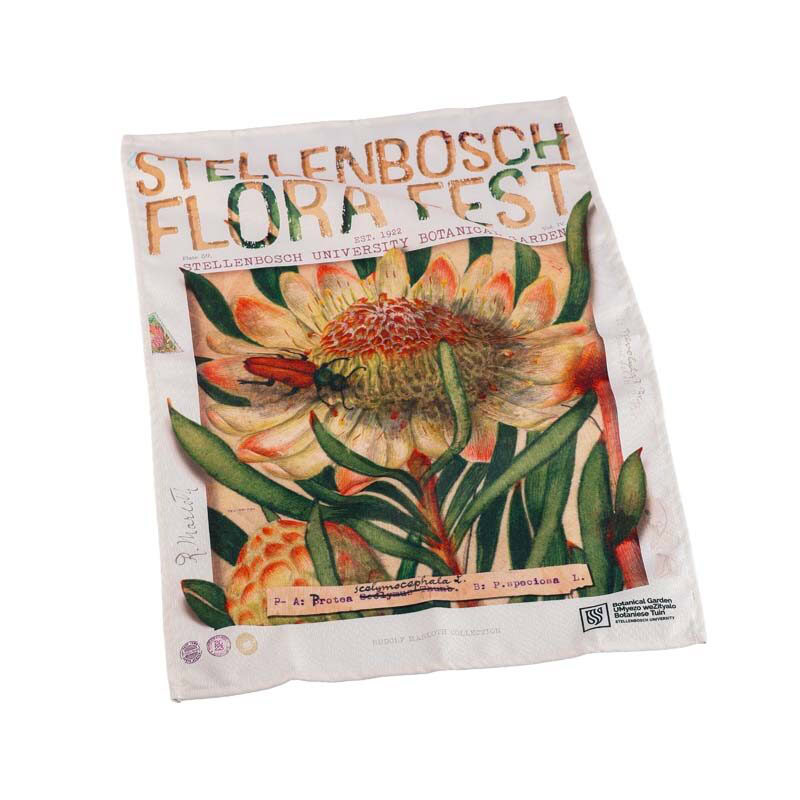 tea towel featuring detailed protea artwork and Stellenbosch Flora Festival