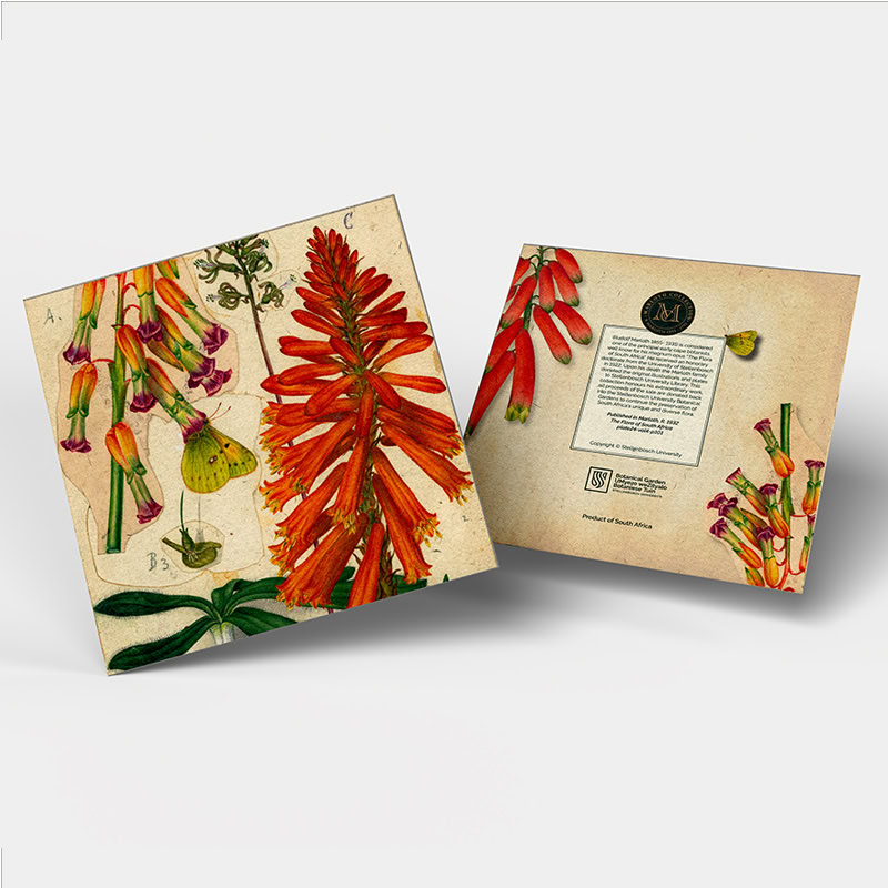 699fa116-a03c-44cc-b079-16816f9fdbd3.jpg Marloth Gift Card & Envelope 140x280mm - Image 1