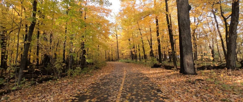 Looking down a two-lane bike trail through a colorful forest in the fall.