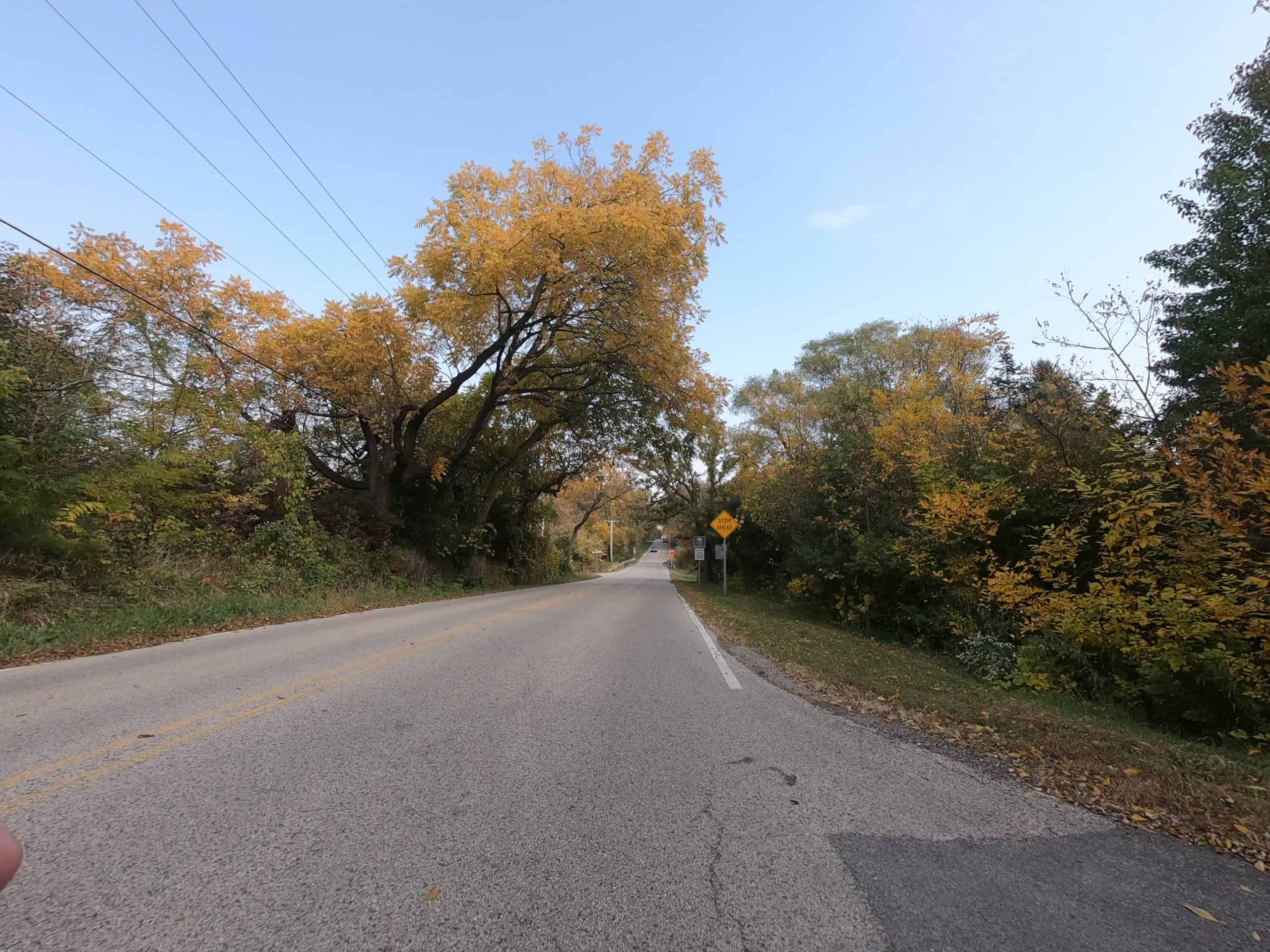 Looking down a colorful tree lined two-lane road.