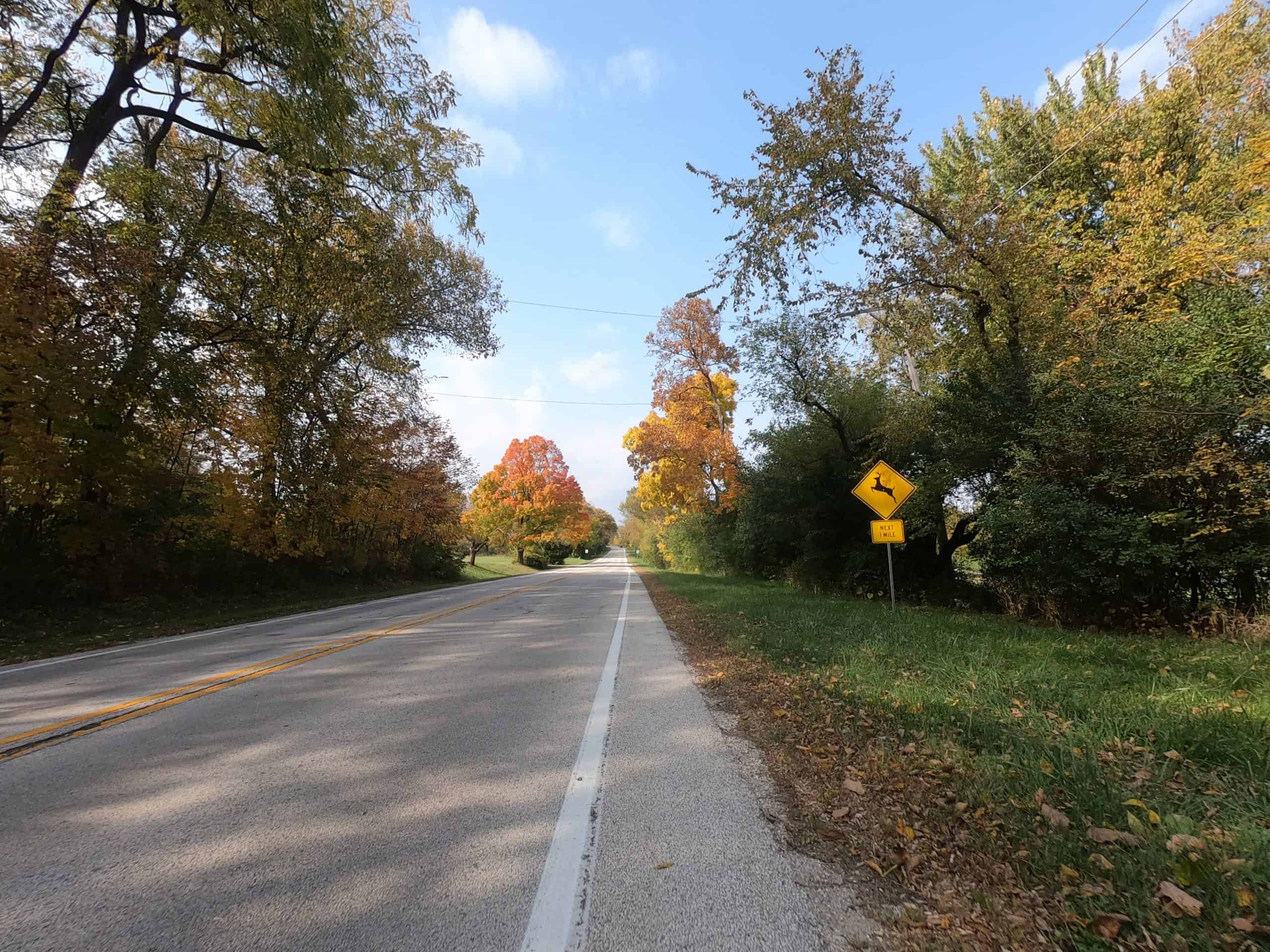 Looking down a colorful tree lined two-lane road with a deer crossing sign.