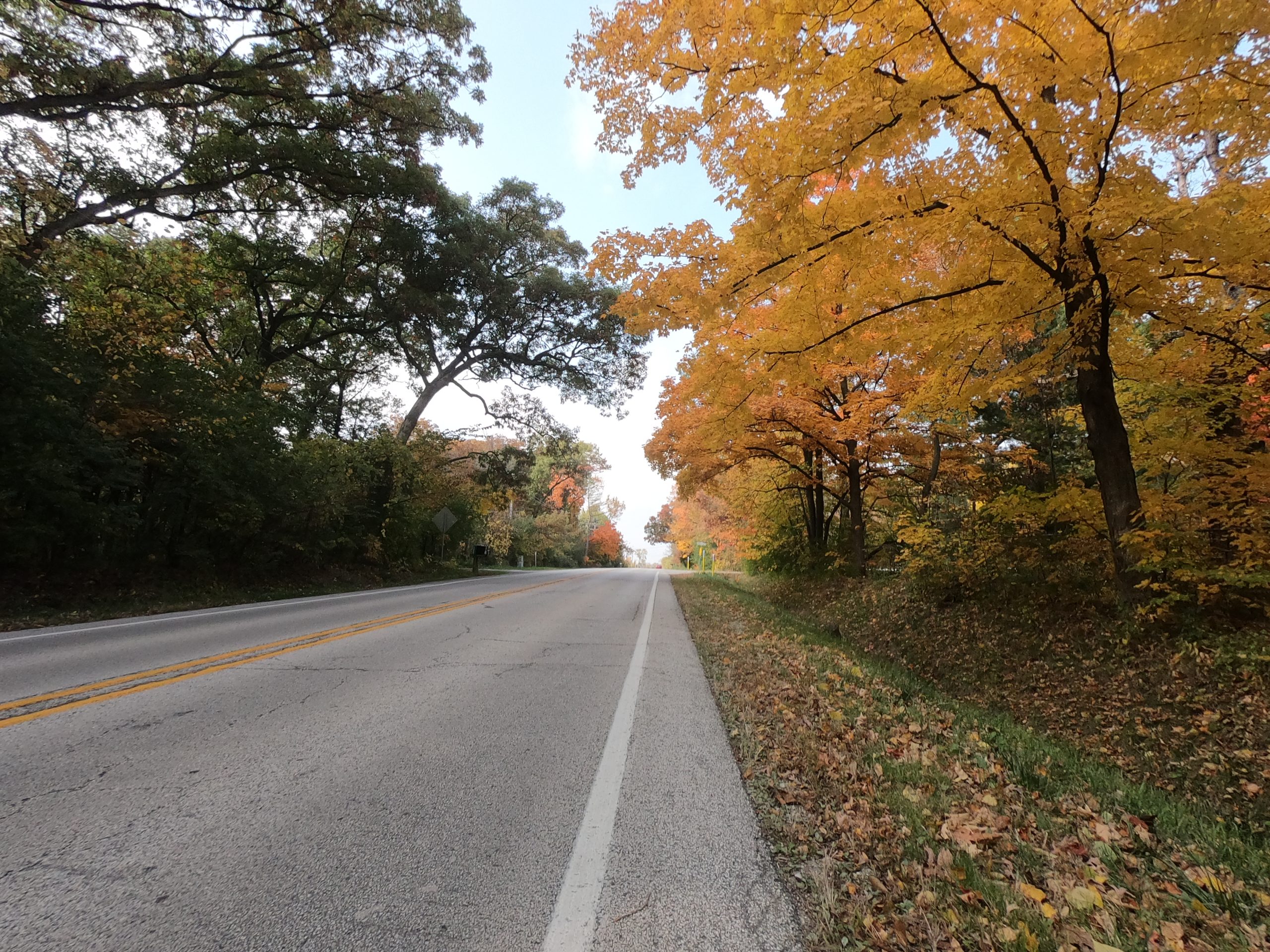 Looking down a colorful tree lined two-lane road.