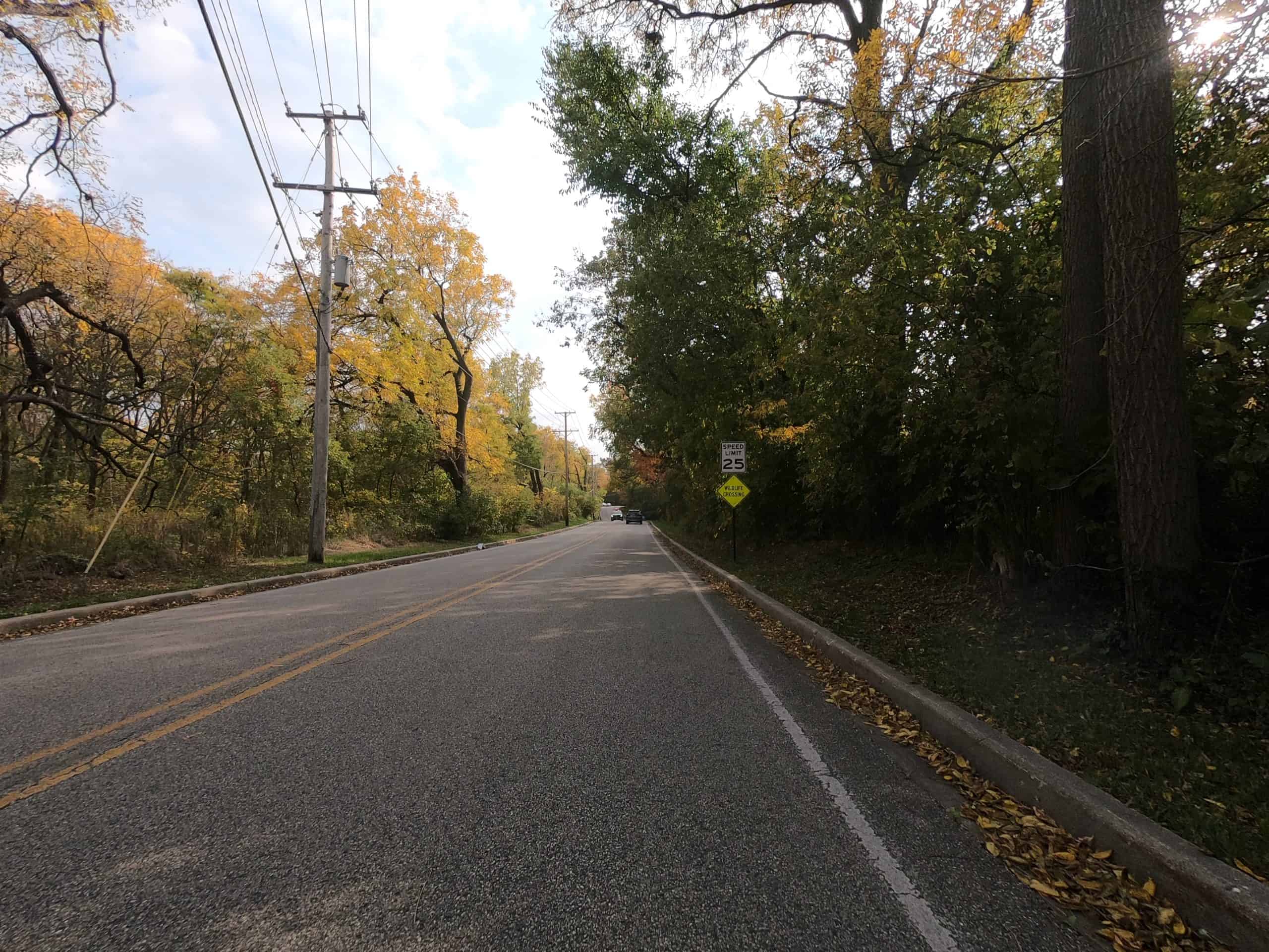 Looking down a colorful tree-lined two-lane road.