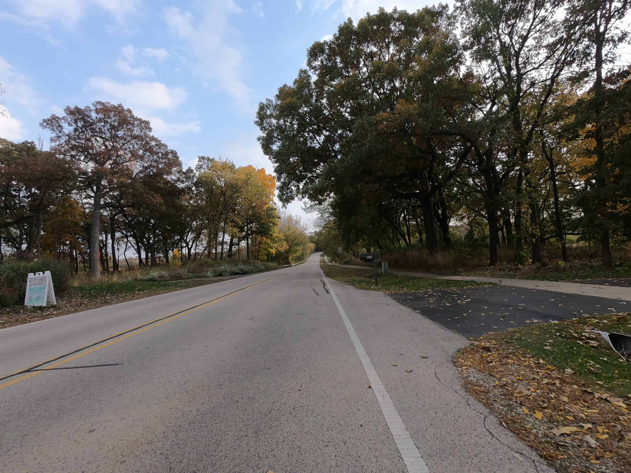 Looking down a colorful tree-lined two-lane road.