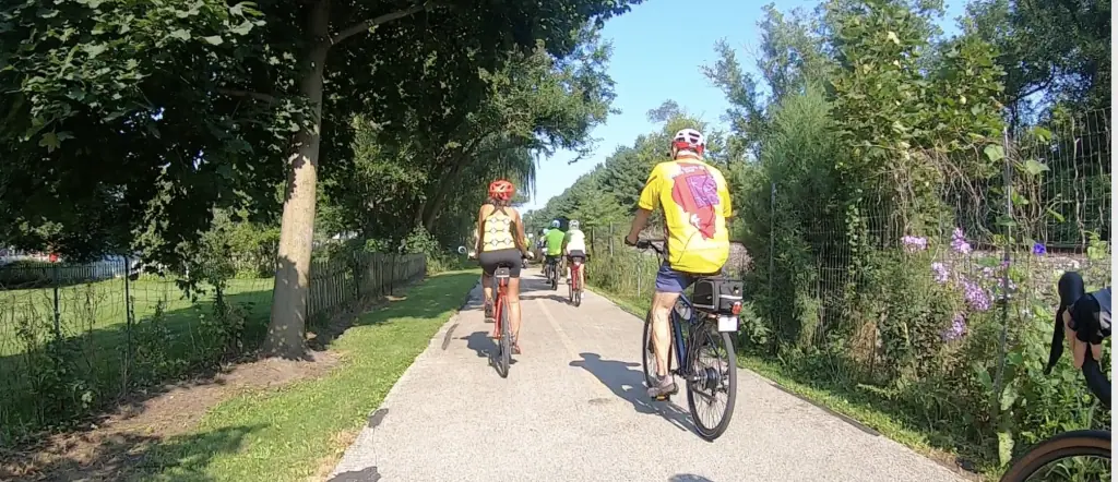 Bicyclists ride down a tree and bush lined paved trail under sun and a blue sky.