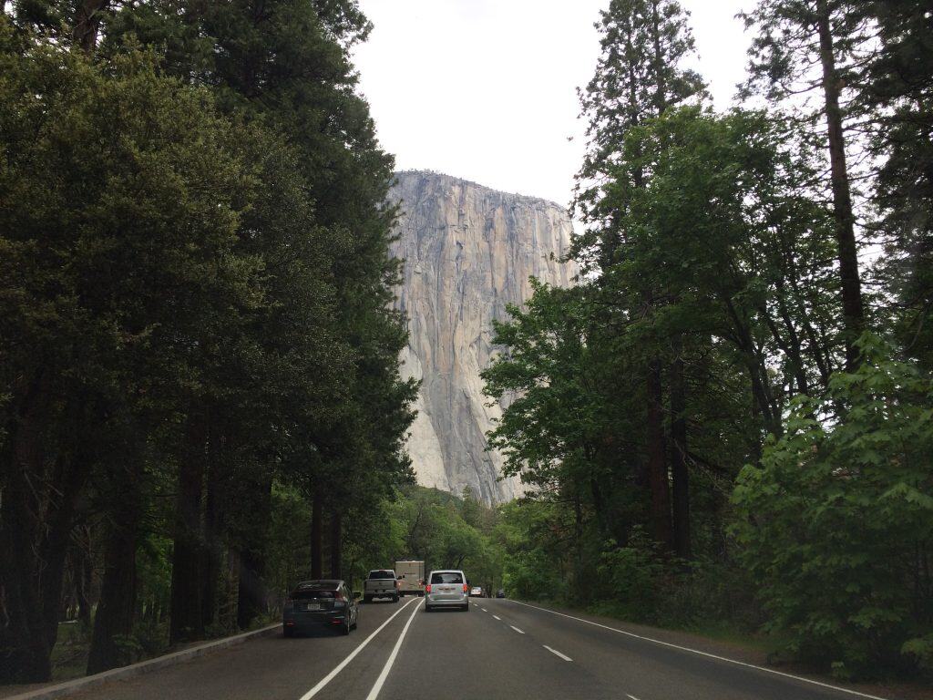 Looking down a paved road with a bike lane through a forest with the tall El Capitan rock formation in the background.