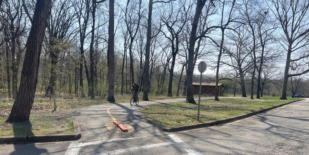 A man is riding on a paved bike path in the middle of a forest preserve.