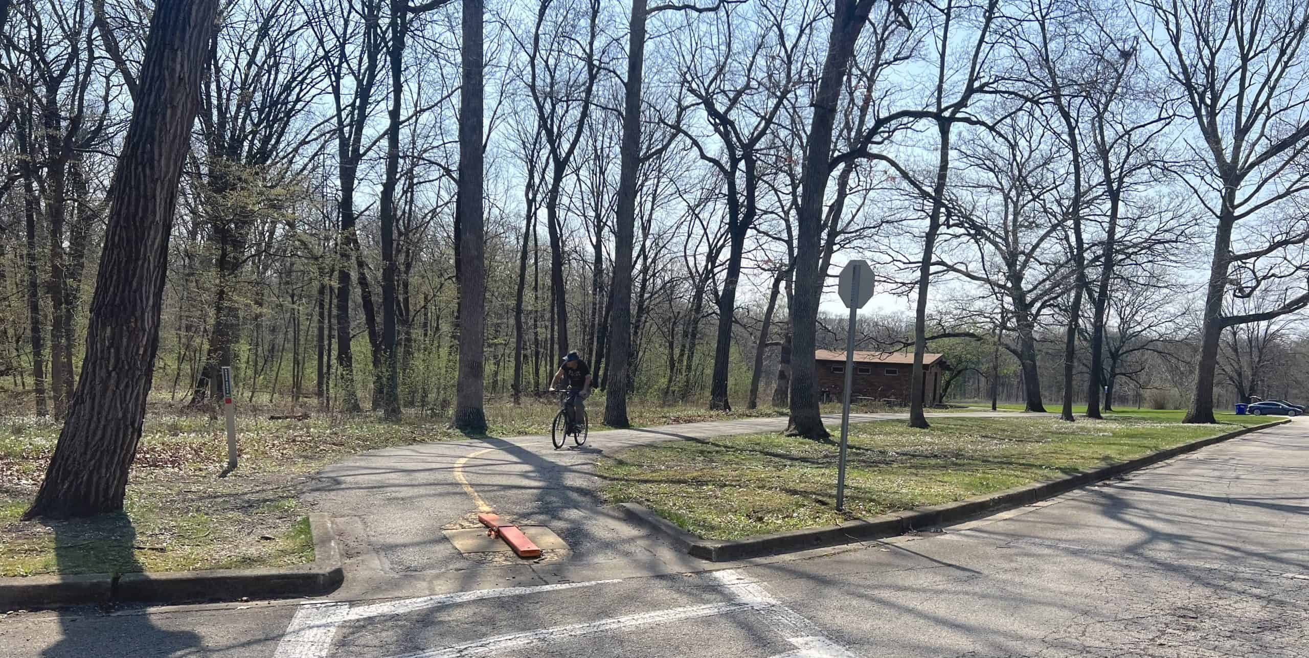 A man is riding on a paved bike path in the middle of a forest preserve.