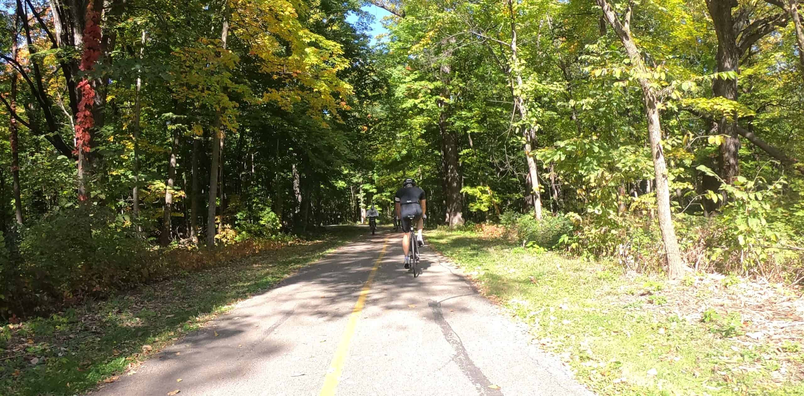Two bicyclists ride on a paved striped bike trail in the shadows of a canopy of trees.