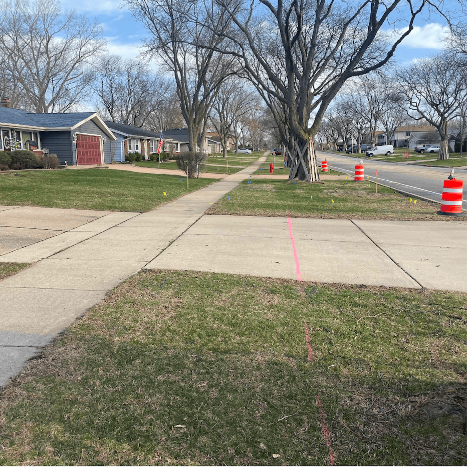 Looking down a neighborhood sidewalk, aprons and street and mature leafless trees.