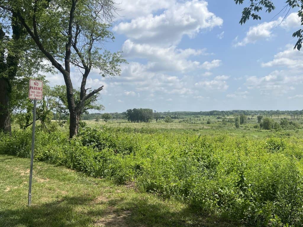 A view of a green landscape with prairie, grasses and some trees, with a sign up front that says No parking on this side of the street.