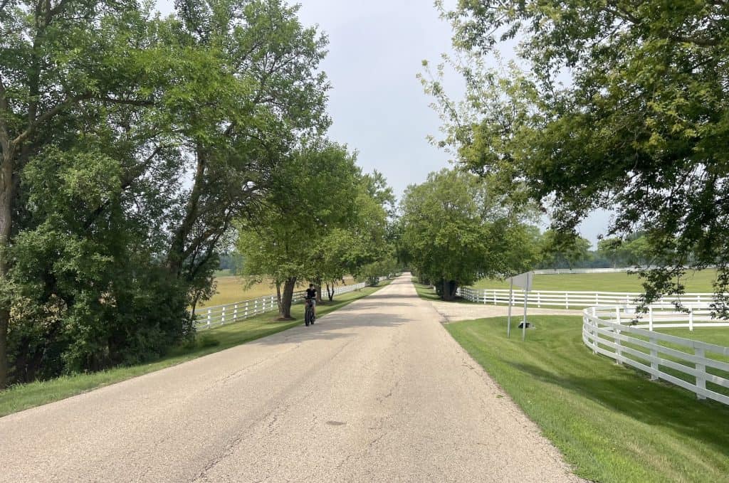 A road runs by white-fenced horse farms lined by tall trees.