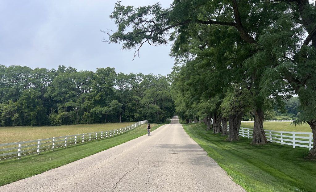 Looking down a road through open green land with a field on the left and tall trees on the right, a branch extending over the road.