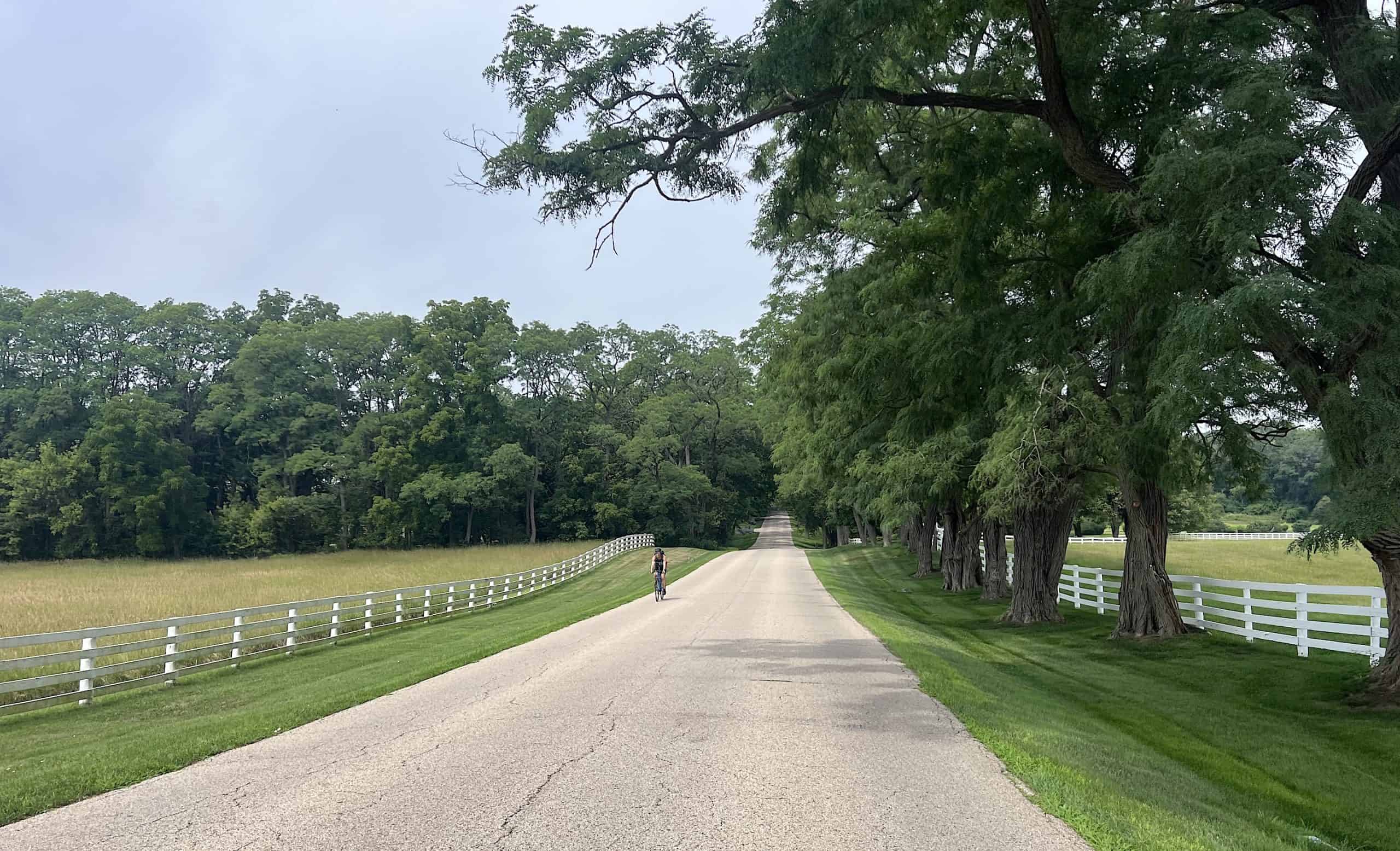 Looking down a road through open green land with a field on the left and tall trees on the right, a branch extending over the road.