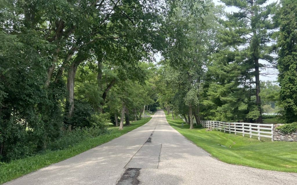 A road with some cracks up front heads up a long hill with meadow on the sides and tall trees forming a canopy.