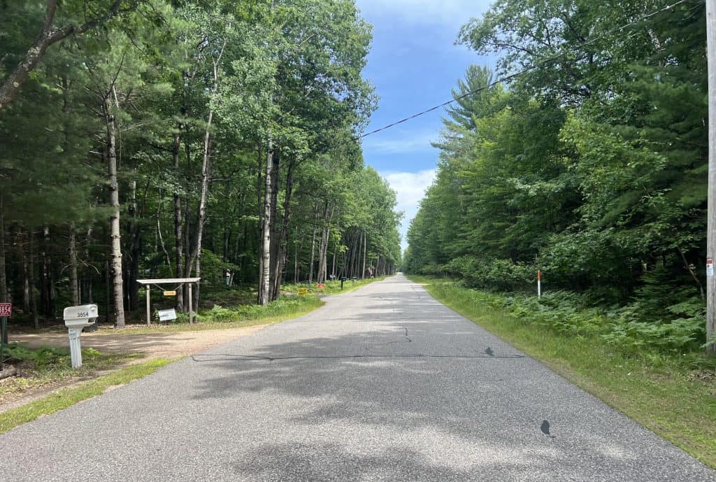 A road is lined with tall trees with a mailbox and sign up front on the left.