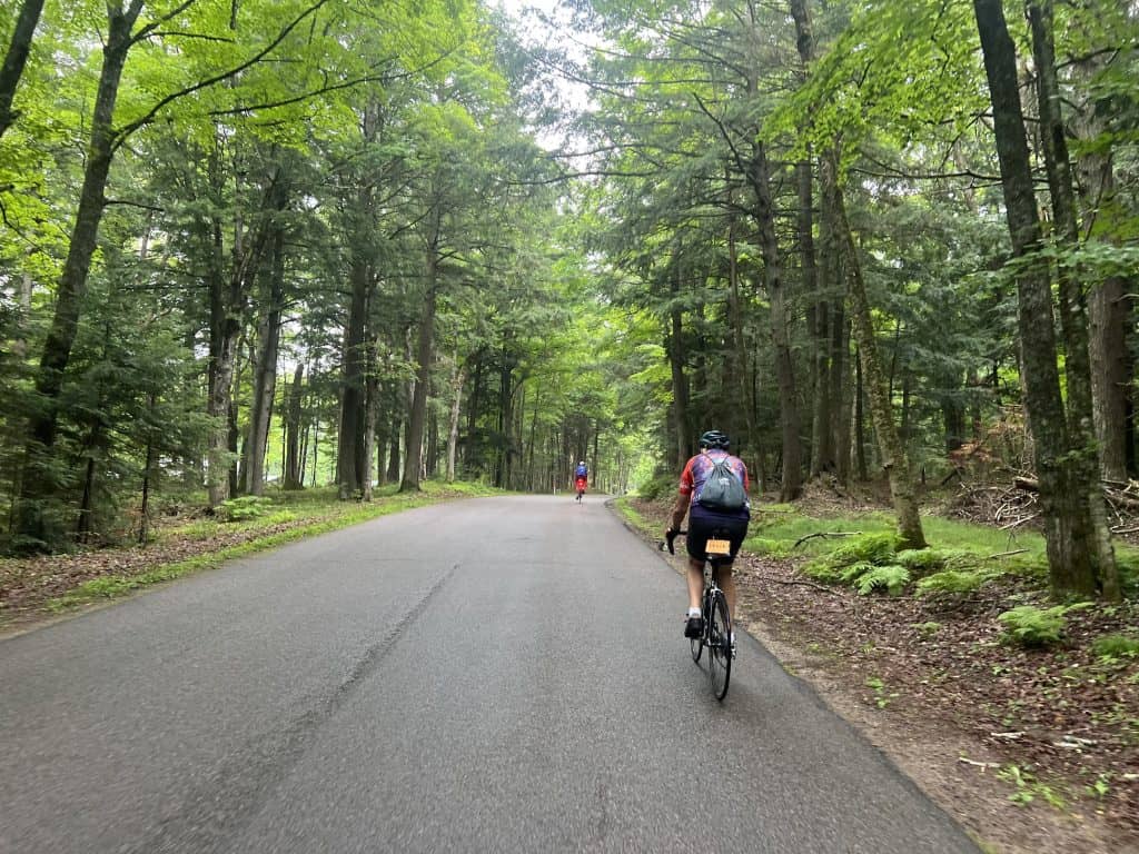 A cyclist rides a road through an area of tall woods.