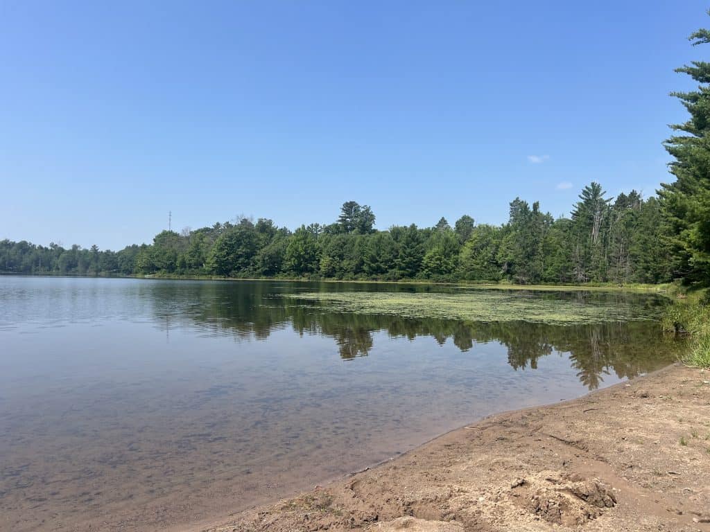 Looking at lake off a little beach up front, lily pads ahead to the right, and trees reflected in the lake in the background.