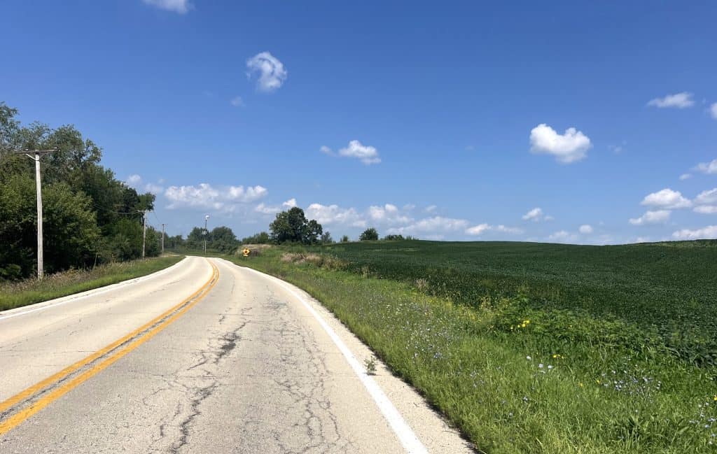 A two-lane road curves slightly left as it passes dark green crops on the right.