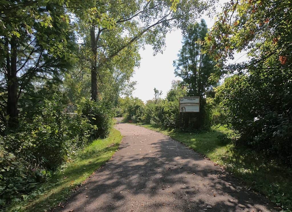 Serene walking and biking trail in suburban Chicago surrounded by lush trees and greenery.