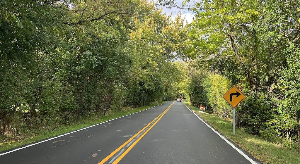 Serene suburban road in Chicago with lush greenery.