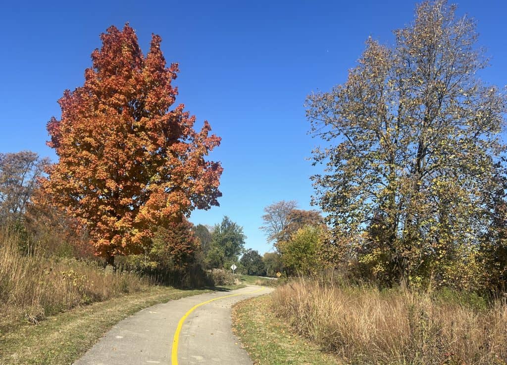 Scenic biking trail through autumn trees in Suburban Chicago.