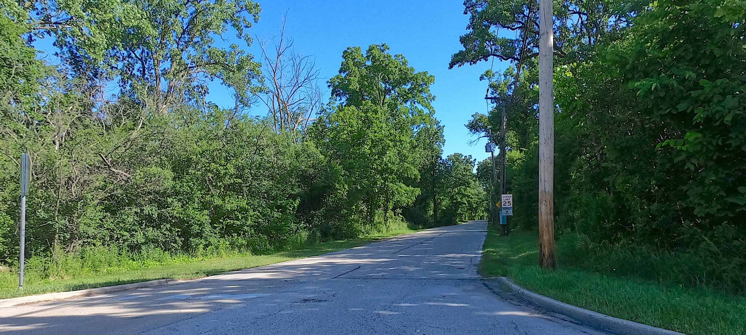 Scenic bike route through suburban Chicago surrounded by lush trees and clear blue sky.