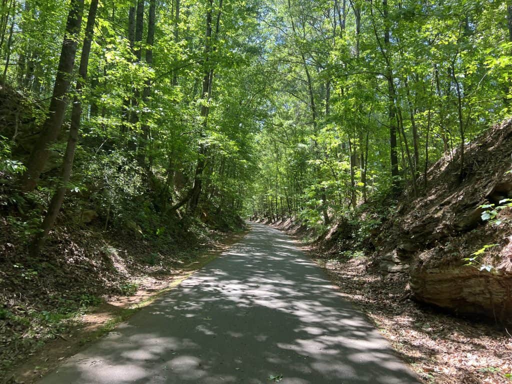 A peaceful forest trail in suburban Atlanta.