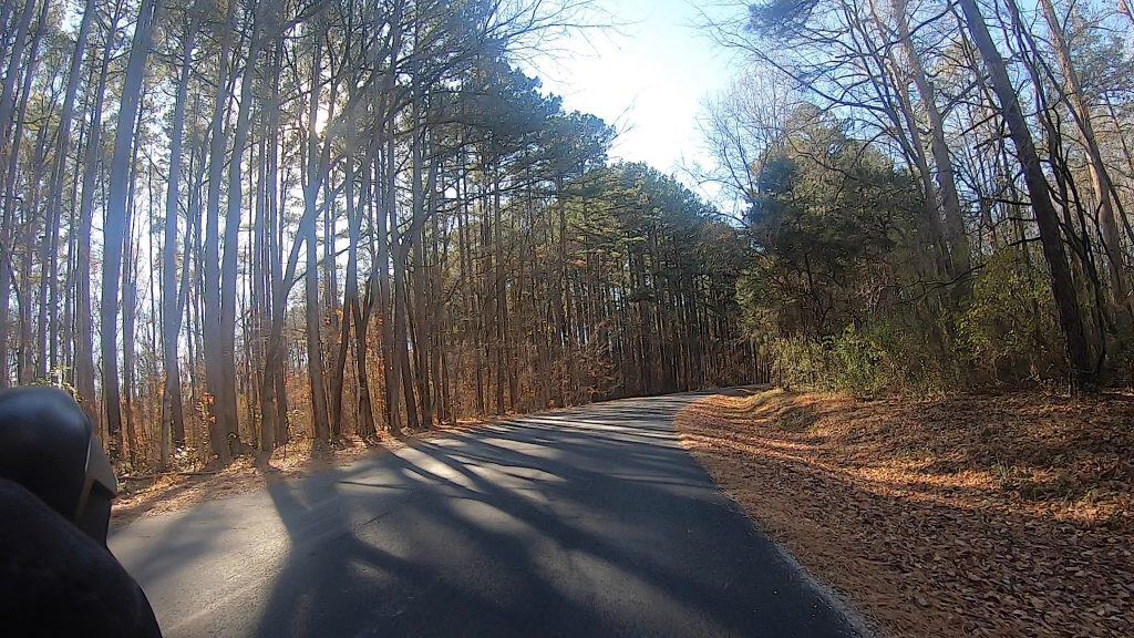 Scenic forest road with tall trees and sunlight filtering through.