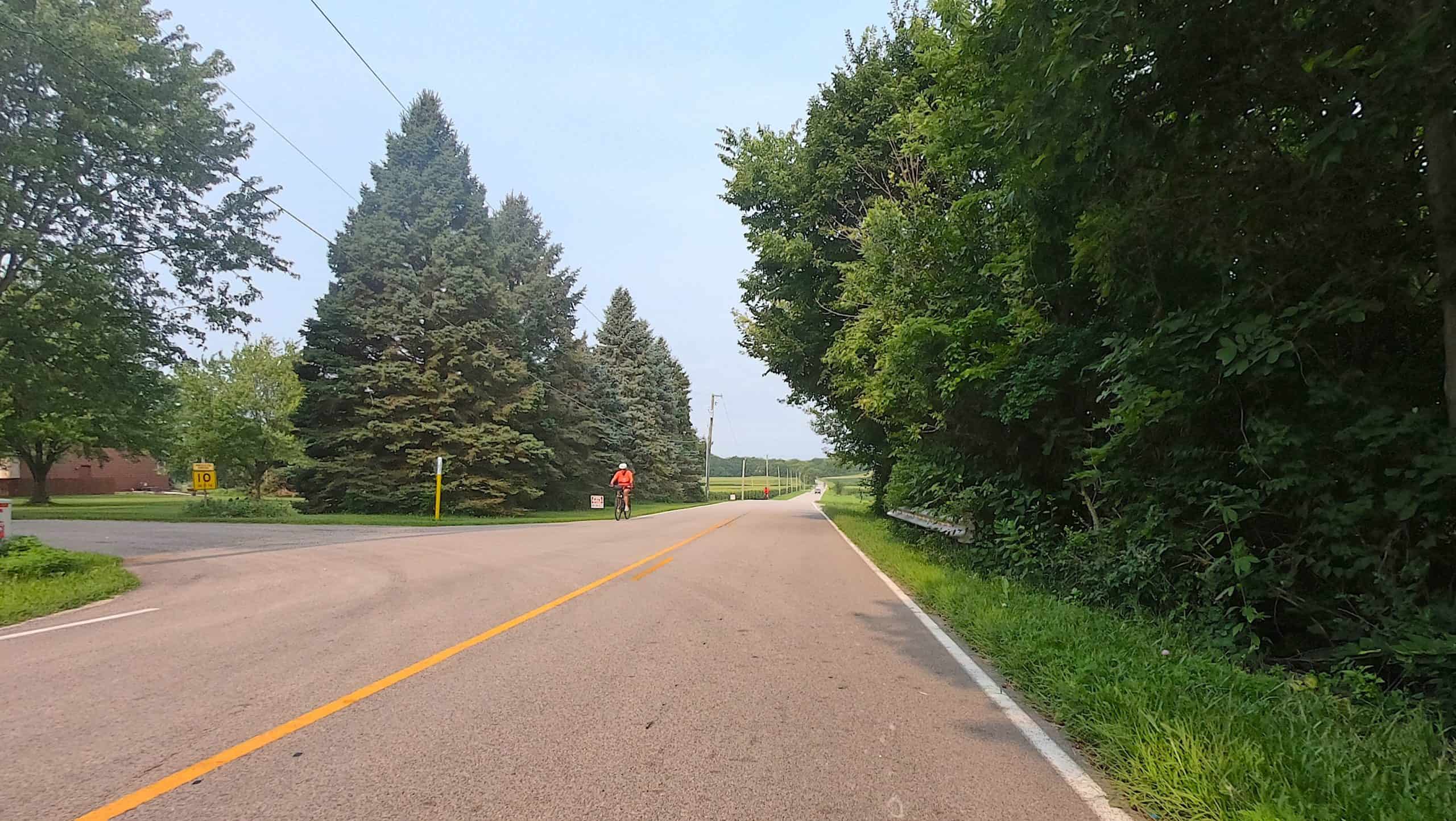 Scenic suburban road in Kendall County with trees and cyclist in distance.