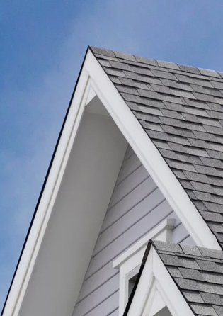 banner-3