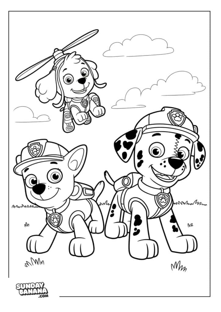 Chase, Marshall and Skye together Paw Patrol coloring page