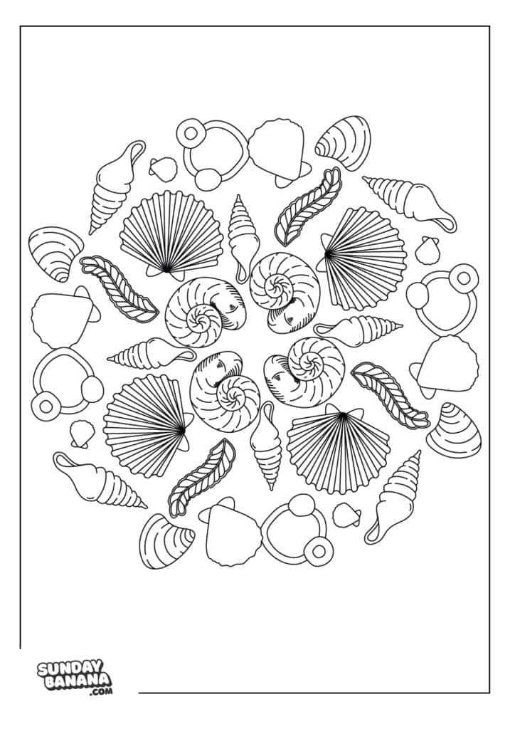 A coloring page Black and white coloring page with a circular mandala pattern made of various seashells and nautilus spirals, symmetrically arranged. The image features different shell shapes like scallops and conchs, all outlined with clean, bold lines.