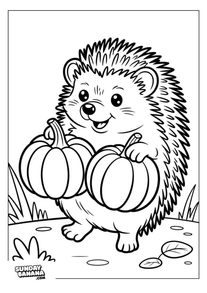 A smiling cartoon hedgehog stands upright on grass, holding two large pumpkins with both paws. There are leaves on the ground, and the background features simple plants. The image is outlined for coloring, with SundayBanana.com in the corner.