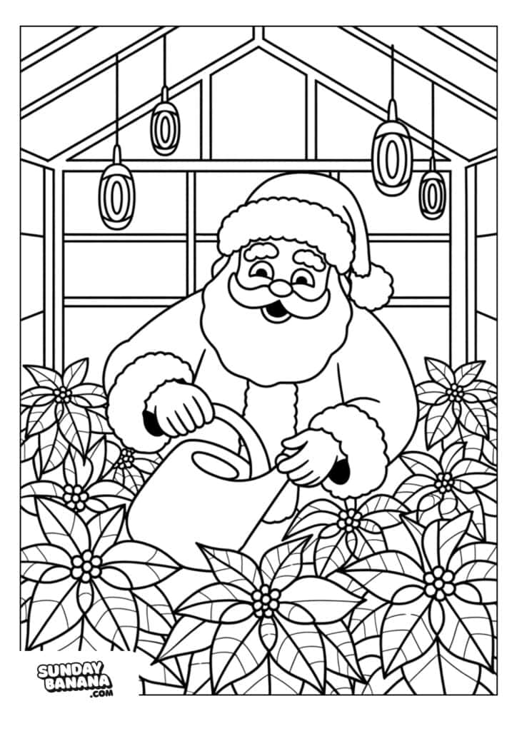 Santa Claus is inside a greenhouse, smiling as he waters blooming poinsettia plants with a watering can. Hanging lights are overhead and large windows let in light, highlighting the festive scene. The image is black and white, designed for coloring.