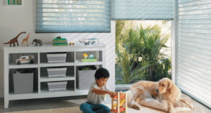 Colorful window shades for sun protection and privacy in modern home interiors.
