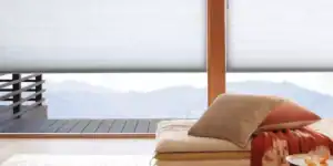 Roller sun shades window fashions for patio and living room sunlight control.