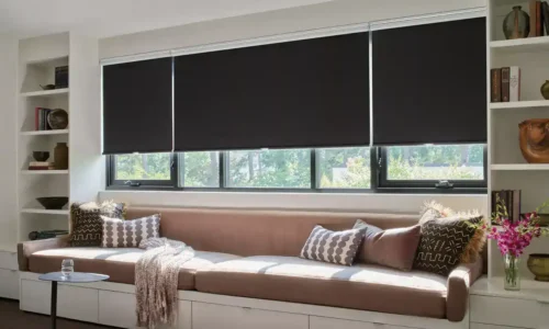 Bright living room with large windows covered by black shades, beige sofa, decorative pillows, and built-in bookshelves on both sides.