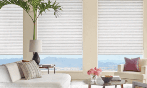 Modern living room with large windows, white blinds, a white sofa, a coffee table with flowers, and a tall green plant.