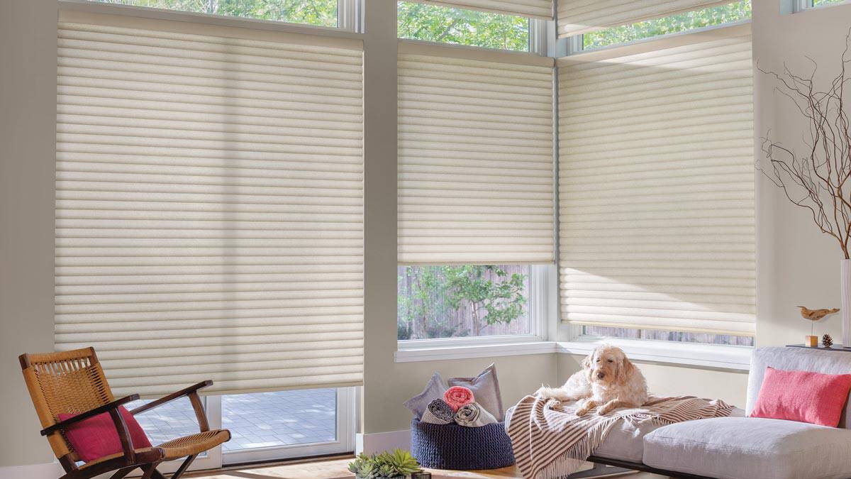 Smooth beige cellular window blinds enhancing natural light and privacy in a cozy living room with relaxing decor.
