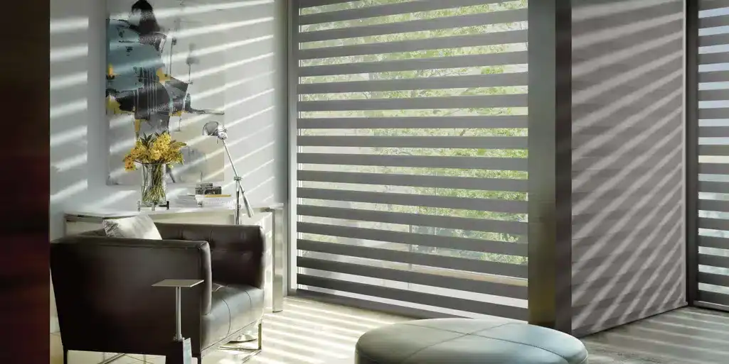 Modern blackout and zebra blinds in a stylish living room, offering interior light control, privacy, and energy efficiency. Perfect for contemporary home window treatments.
