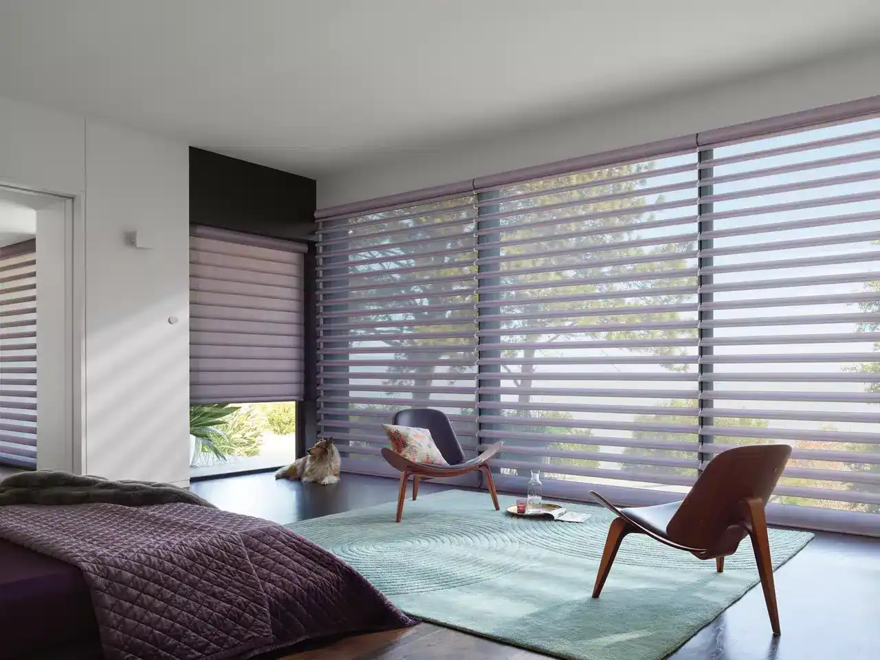 Luxurious modern interior featuring stylish purple window blinds, perfect for light control and privacy, with contemporary furniture and a comfortable, elegant ambiance.